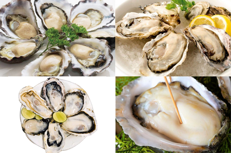 Hàu Nhật Oyster 7/8